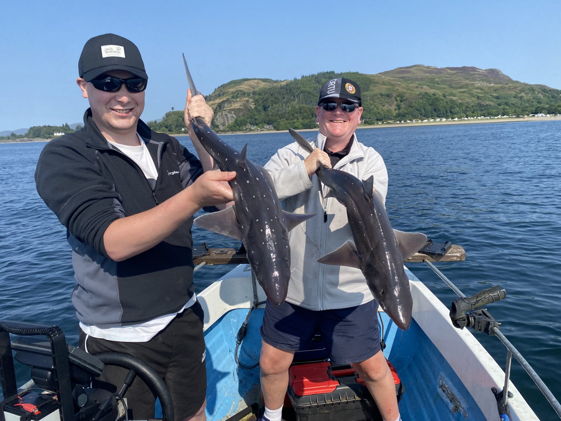 Sea anglers in boat in Argyll holding spurdogs they have caught